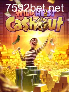 WildHeistCashout